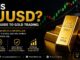 What is XAUUSD beginner's guide to gold trading